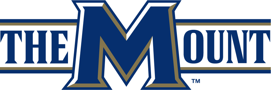 Mount St. Marys Mountaineers 2006-2016 Wordmark Logo v3 iron on transfers for T-shirts